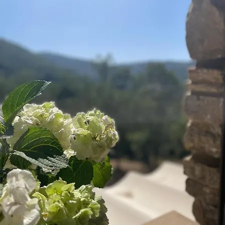 Farm stay La Casa Di Michela Rutino